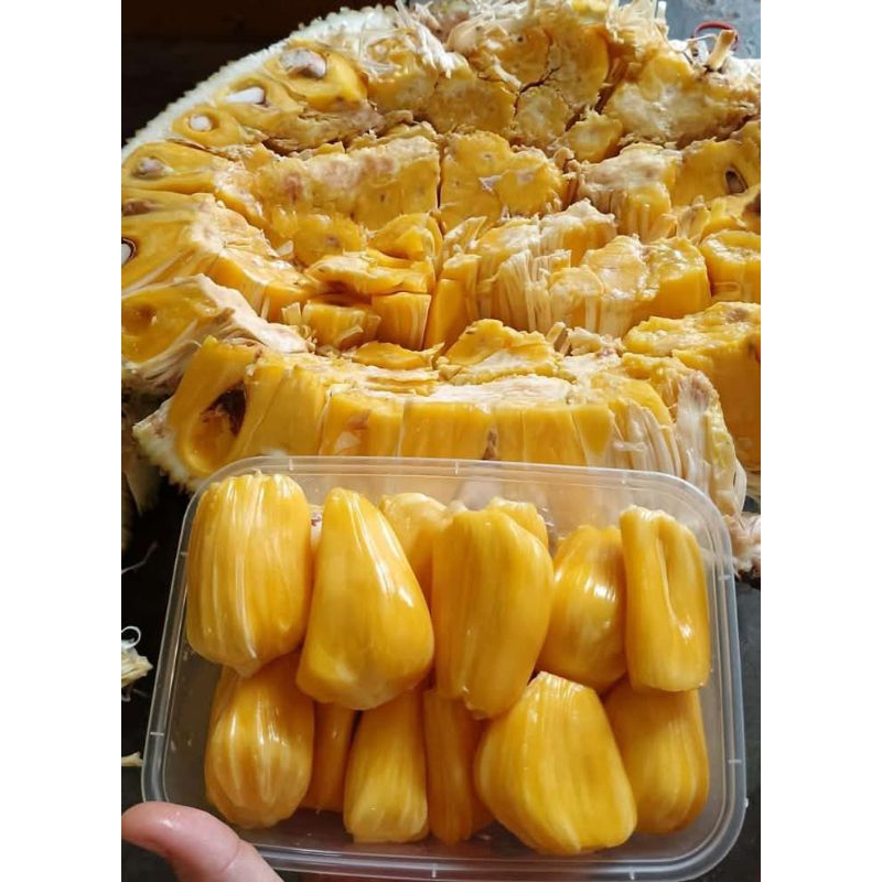 

Nangka Kupas 500 gram