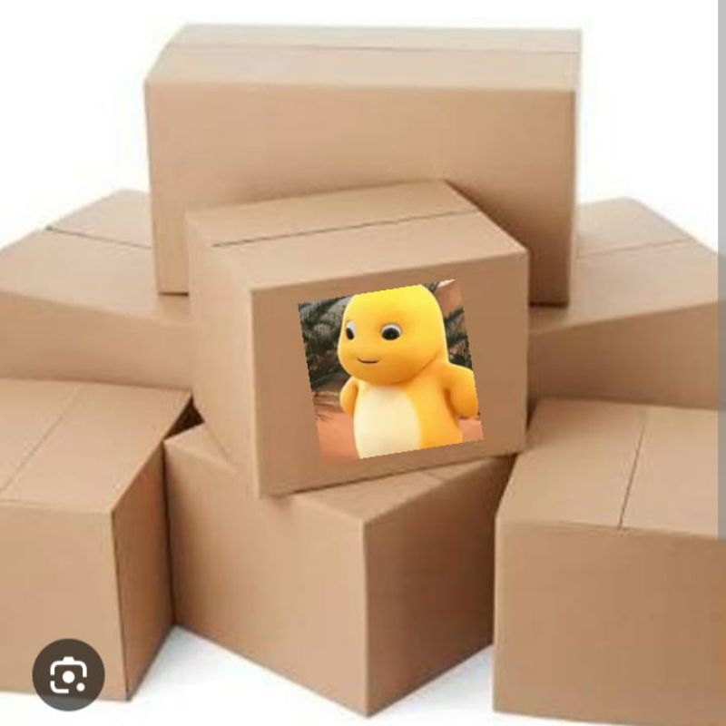 

kardus packing aman kalsium