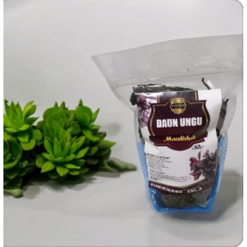 

Teh seduh daun ungu//Teh daun ungu isi 50 gram