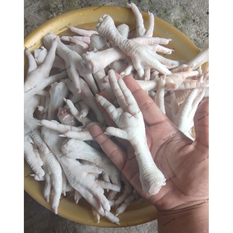 

[KIRIM INSTAN] CEKER AYAM FRESH DAN FROZEN 1KG