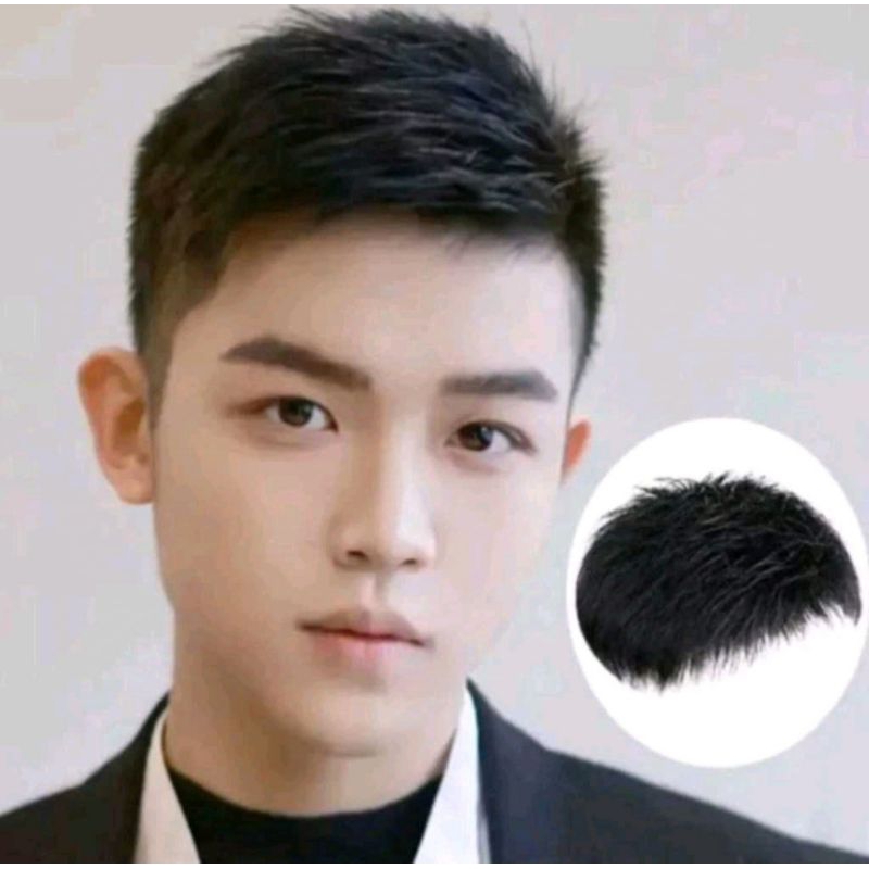 wig/toupee wig pria penutup kebotakan
