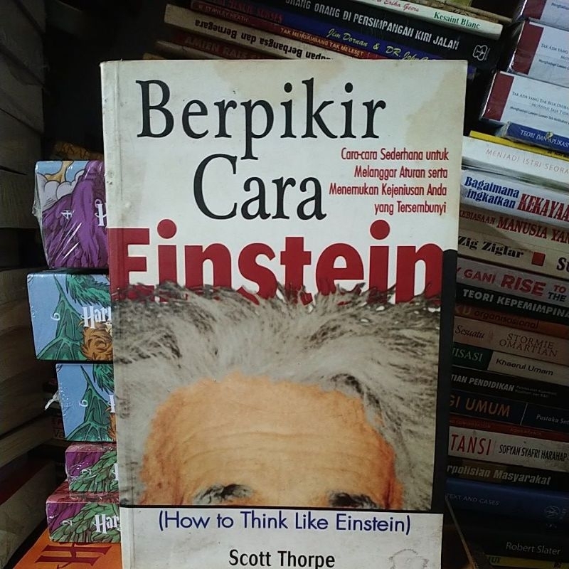 buku berpikir cara Einstein original