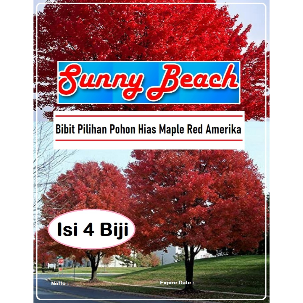 Bibit Unggul Pohon Hias Maple Red Amerika | Biji Benih Maple Merah Amerika
