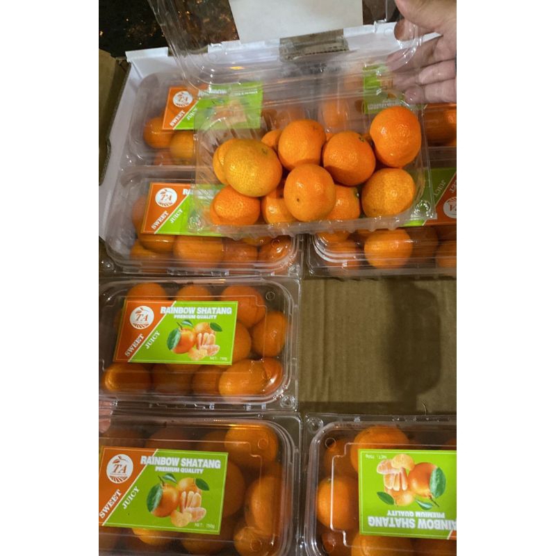 

JERUK SANTANG Premium | Santang pack +- 700 gram | jeruk santang tangerin curah bandung | Jeruk manis