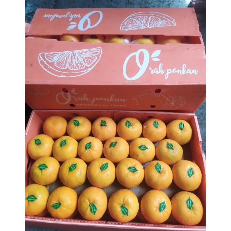 

Jeruk Wokam Premium | Wogam 9 Kg / Box