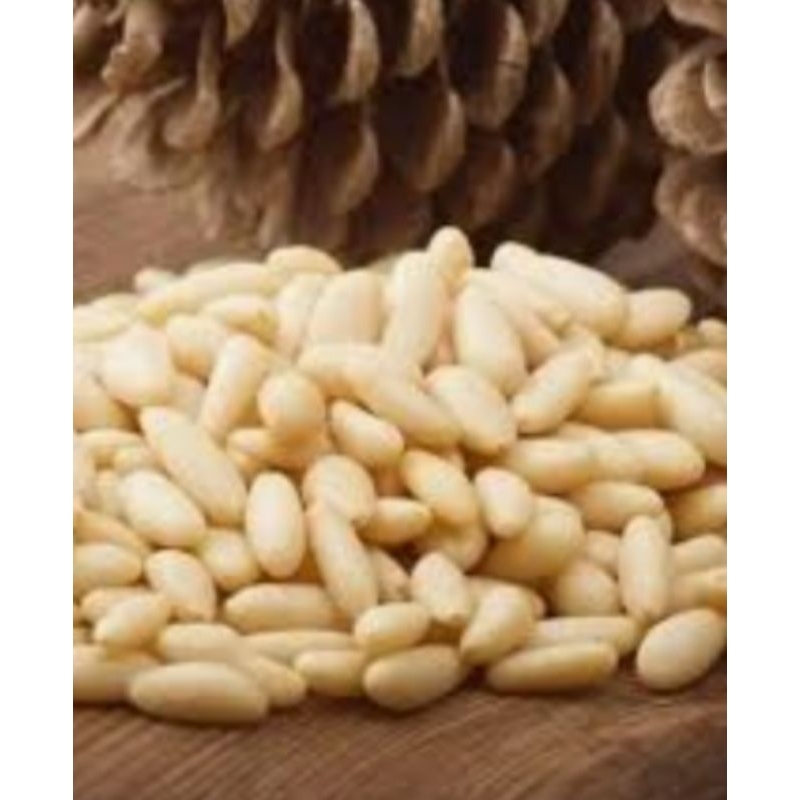

Kacang Pinus kemasan 100gr