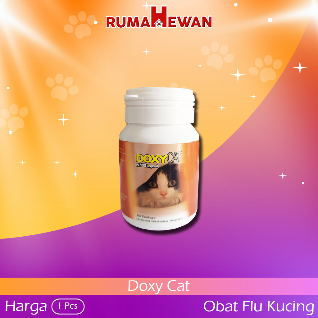 Obat Flu Kucing Antibiotik Doxycycline Kapsul untuk Infeksi Saluran Pernapasan Kucing