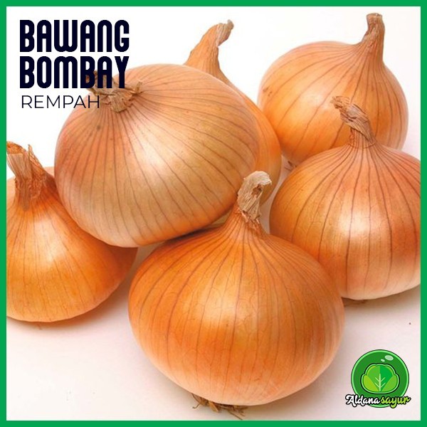 

Bawang Bombay aldana sayur garut 250gr