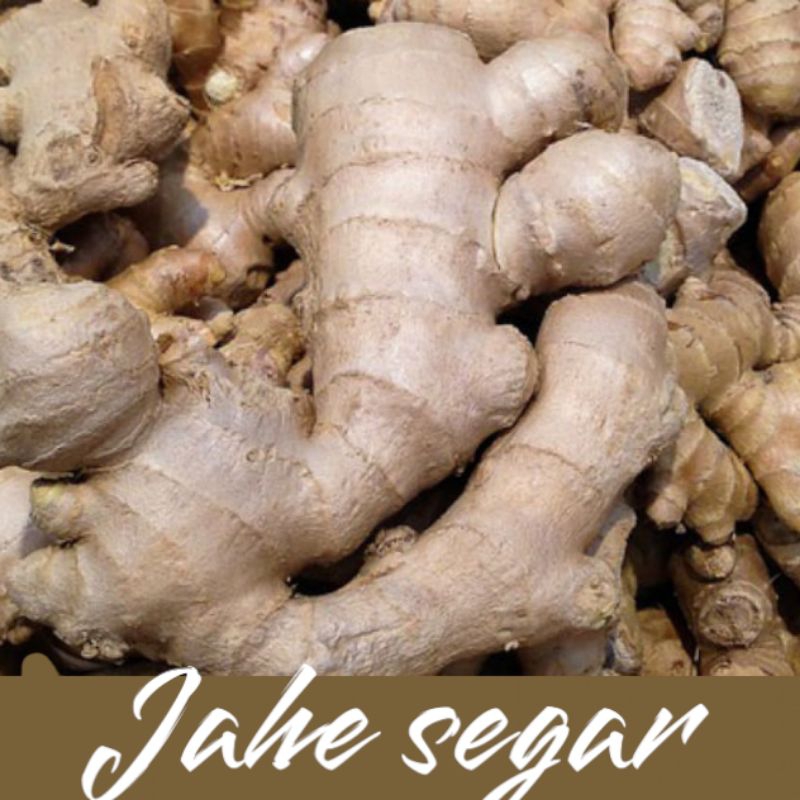 

Jahe Segar /500g _1/2kg