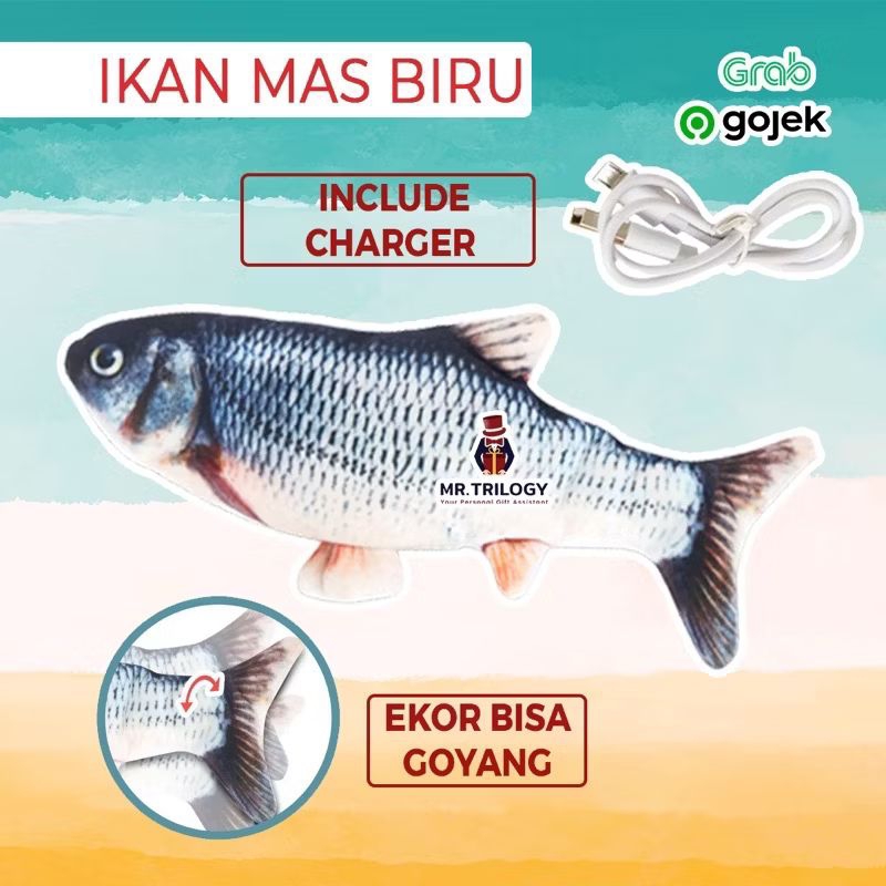 MAINAN IKAN GOYANG-GOYANG,UGET UGET MASAK-MASAKAN, KADO ANAK LUCU