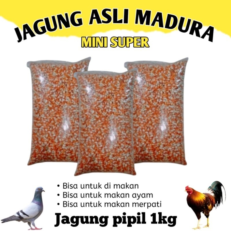 JAGUNG KRISTAL MERPATI 1KL JAGUNG BURUNG DARA JAGUNG BURUNG MERPATI AYAM JAGUNG ASLI MADURA