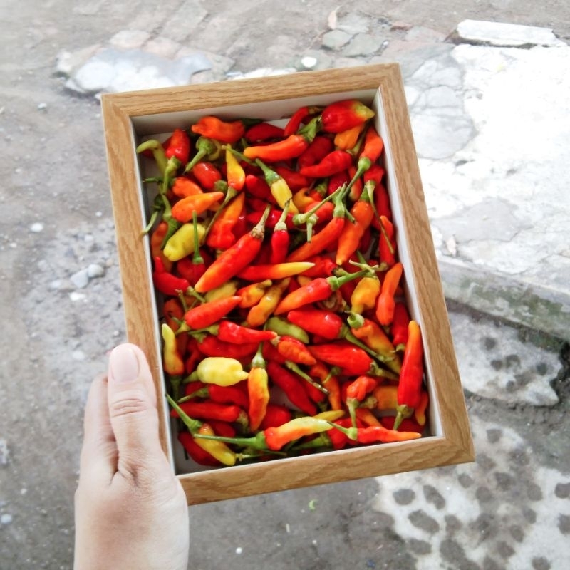 

Cabe Merah Segar 250 gram