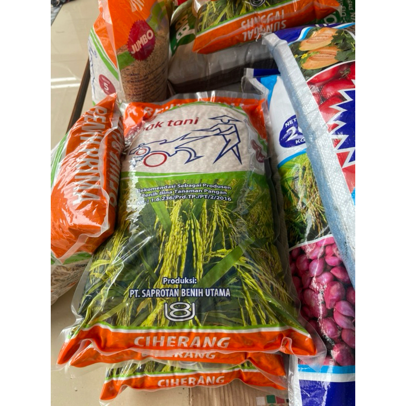 Benih padi PRIMA JUMBO CIHERANG PAK TANI 5KG exp MARET 2026