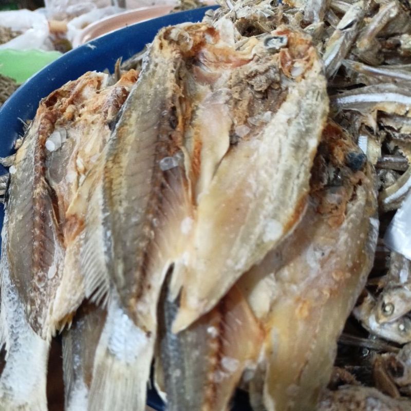 

Kepala Batu Belah 250g - 1000g