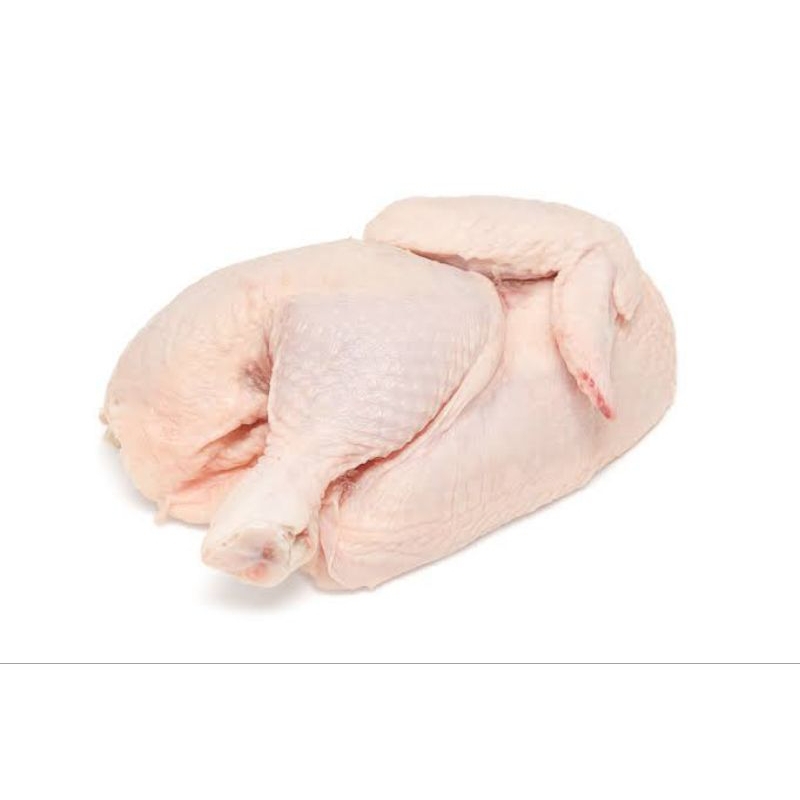 

Ayam Potong Sebelah Segar