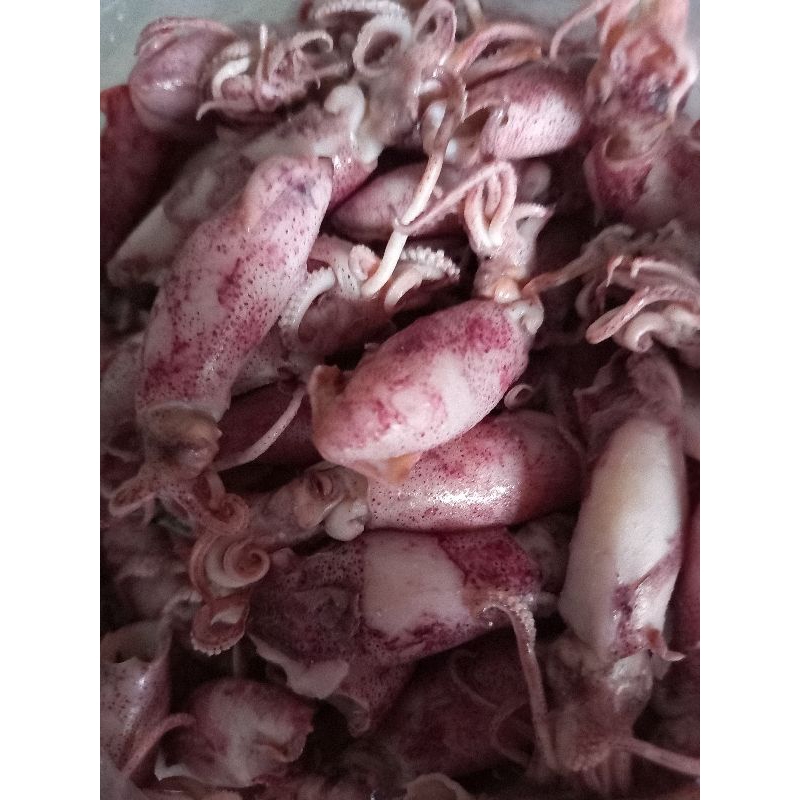 

cumi asin