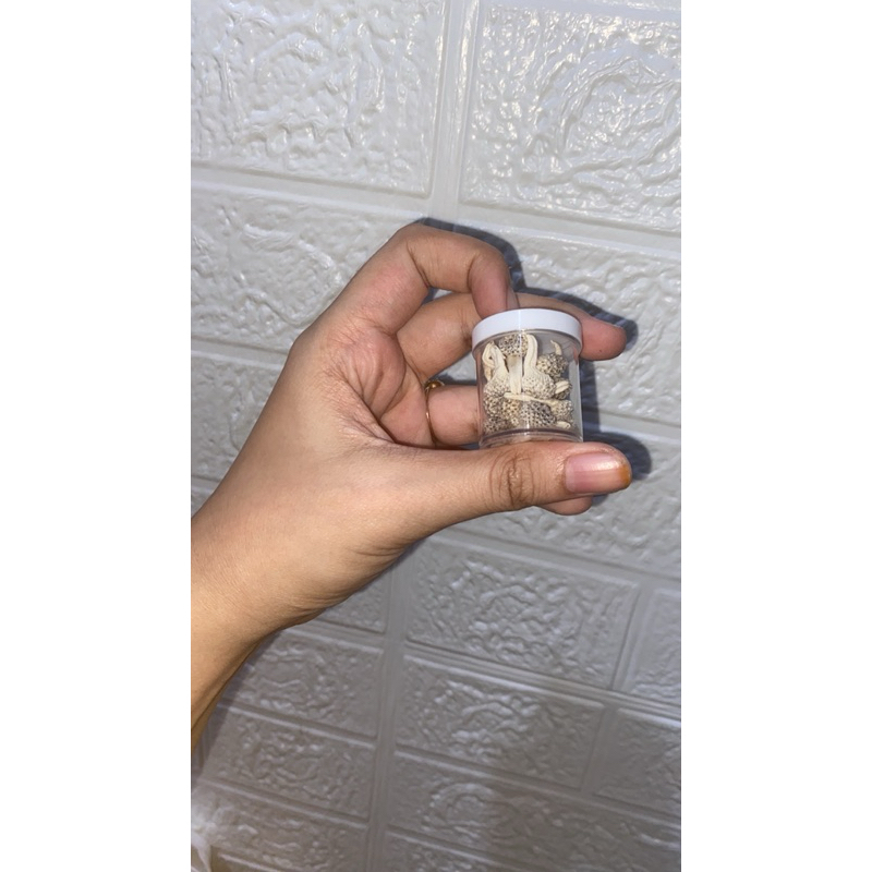 empot empot ayam putih herbal