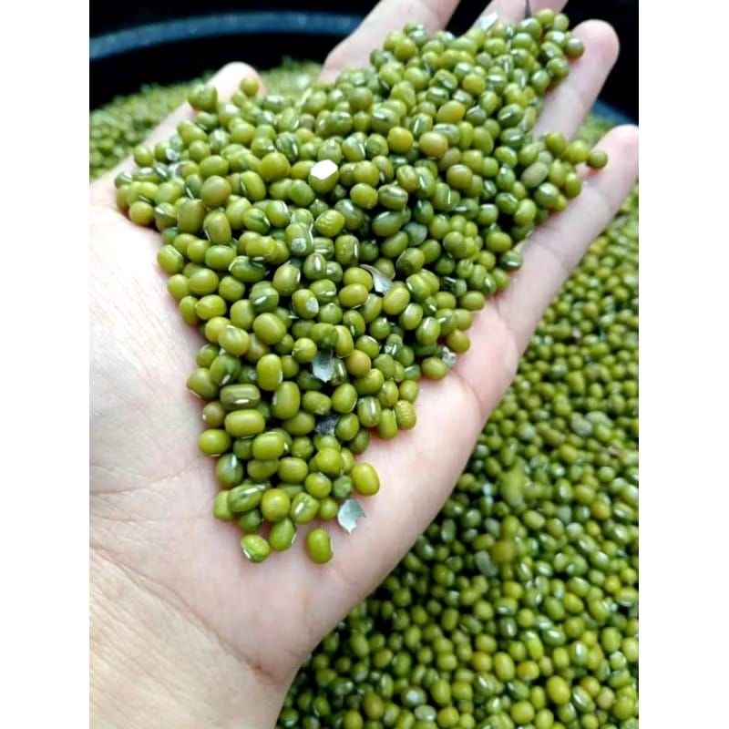 

KACANG IJO MENTAH KUALITAS SUPER 500GRAM 1KG