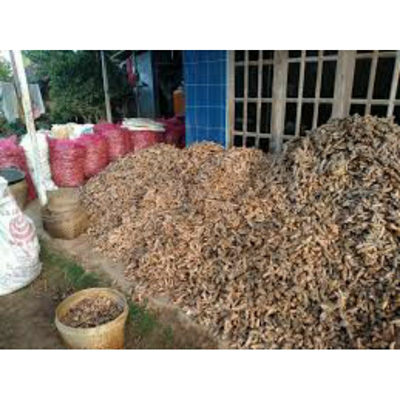 

50 kg kunyit segarr pasokan gercep