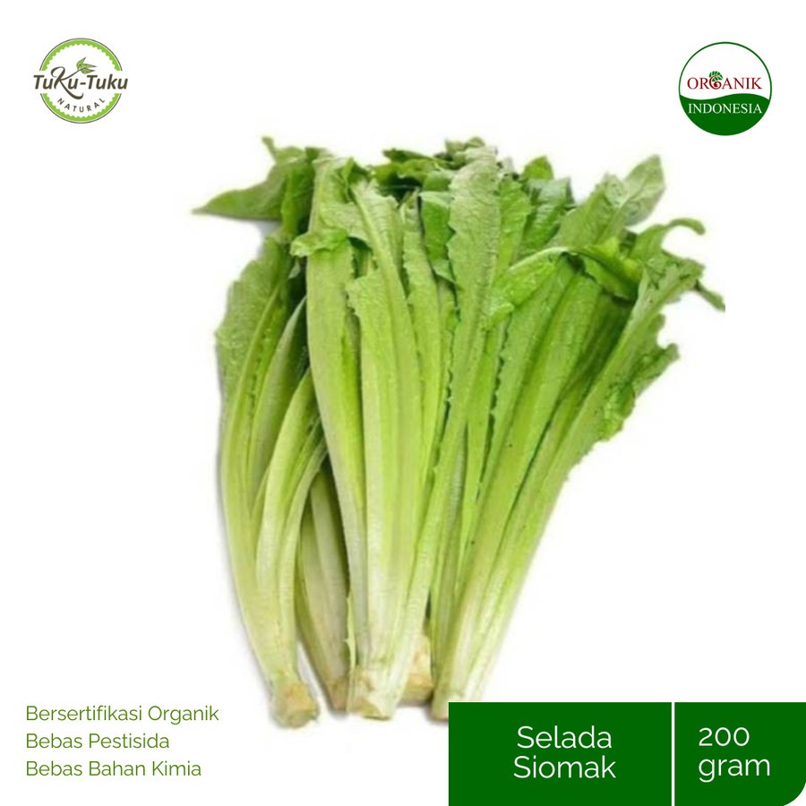 

SELADA SIOMAK ORGANIK BSP FARM 200GR