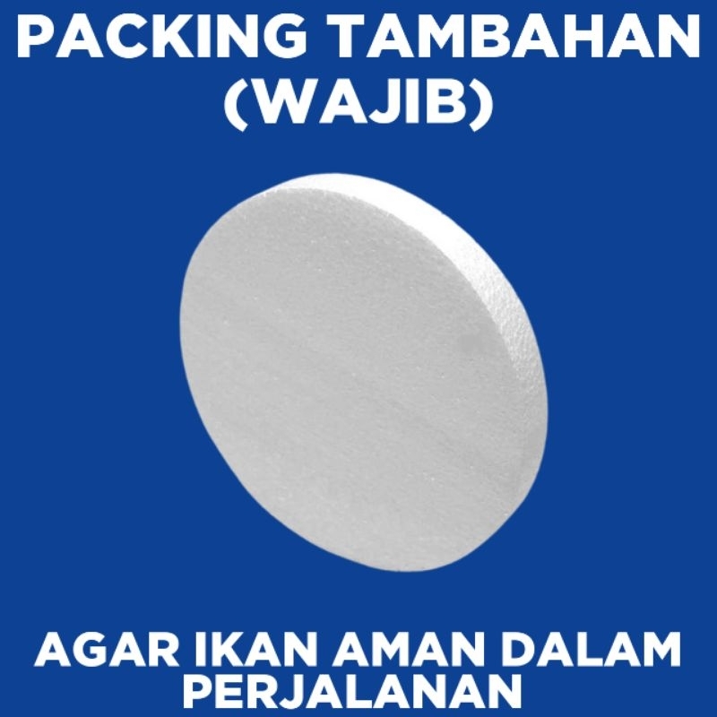 

PACKING TAMBAHAN STYROFOAM (WAJIB)