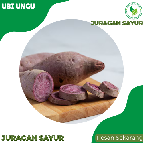 

Ubi Ungu Mentah - Ubi Ungu 1 kg - Ubi Ungu Segar Fresh dan Premium - Juragan Sayur