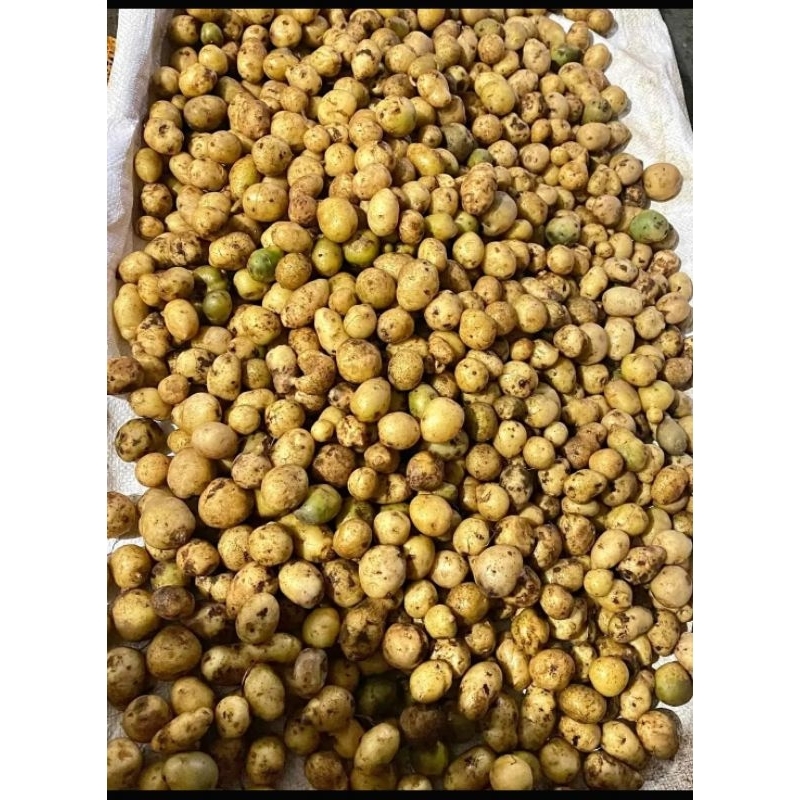 

kentang rendang 1kg / baby potato kentang kecil langsung dari dieng