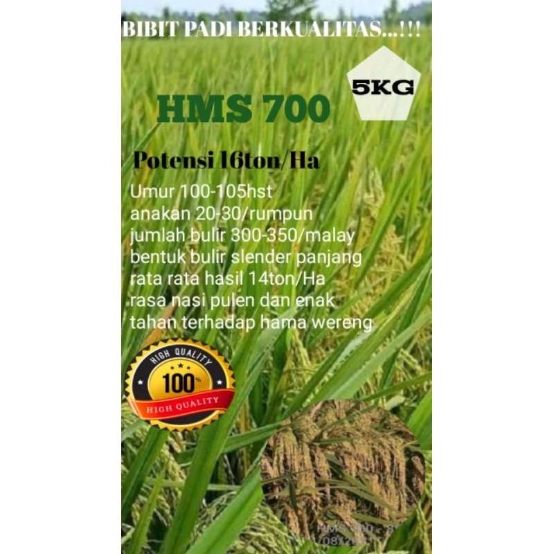 bibit padi HMS 700 kemasan 5kg