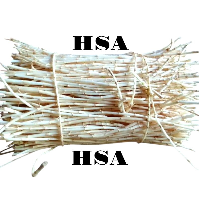 

PROMO AKAR ALANG ALANG SEGAR 1KG