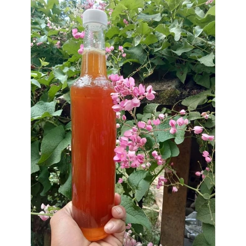 Madu Murni Asli Hutan Baduy Odeng100%Original_Madu Murni Asli Baduy