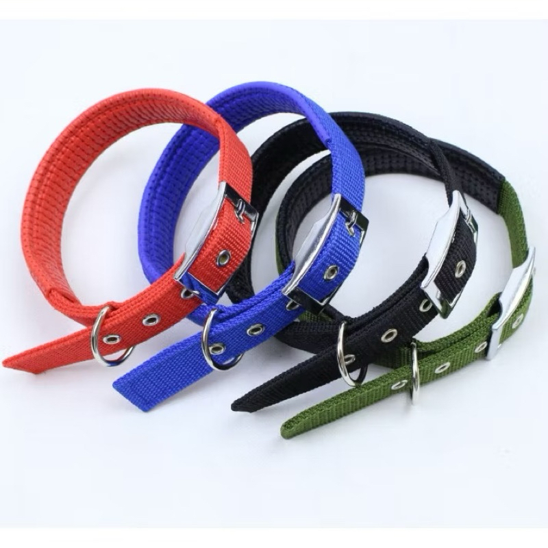 kalung anjing besar - kalung anjing jumbo - kalung anjing nilon