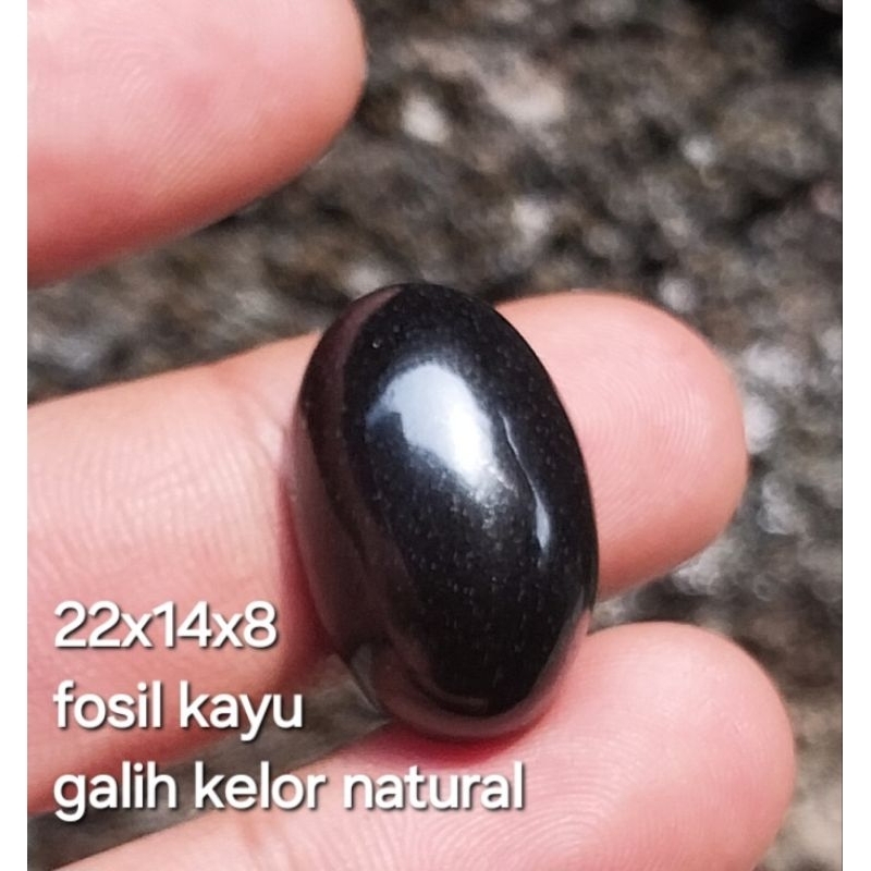 batu cincin fosil galih kelor serat natural