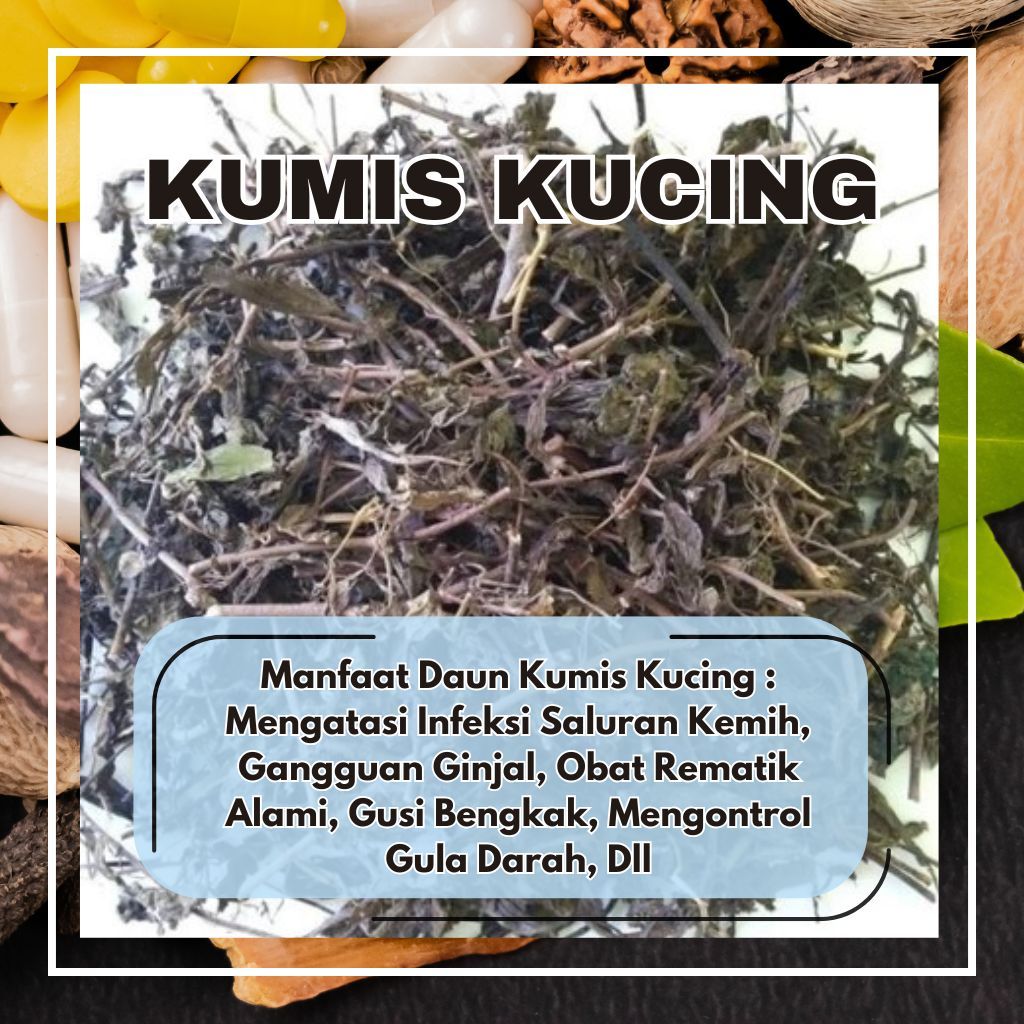 

DAUN KUMIS KUCING 100G MINUMAN HERBAL ALAMI