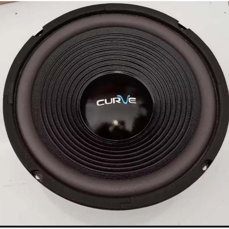 speaker curve 10 inch wofer murah BM AUDIO