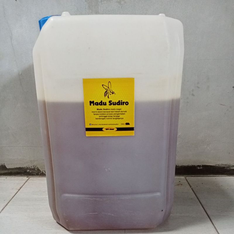 

Madu Randu 12kg Murni Asli 100%