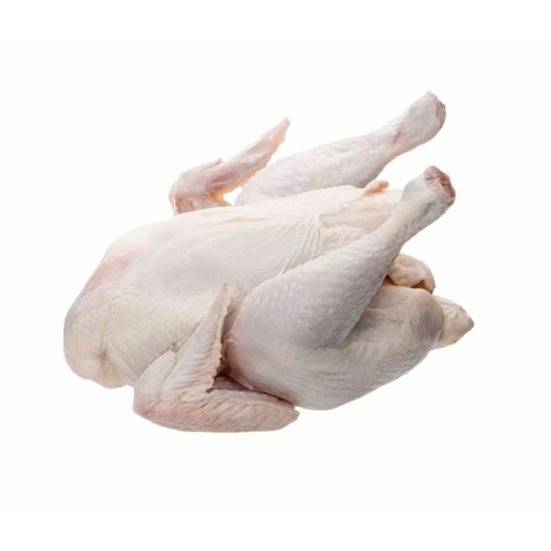 

AYAM UTUH BESAR FRESH 1.3Kg -1.4Kg