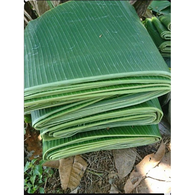 

daun pisang fress