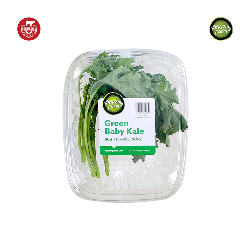 

Baby Kale Green Sayur Hydroponic 50gr - Brothermeatshop