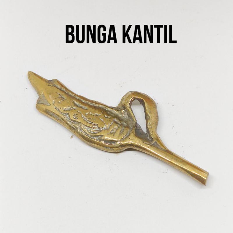 

Kembang Kantil Rajahan Kuningan