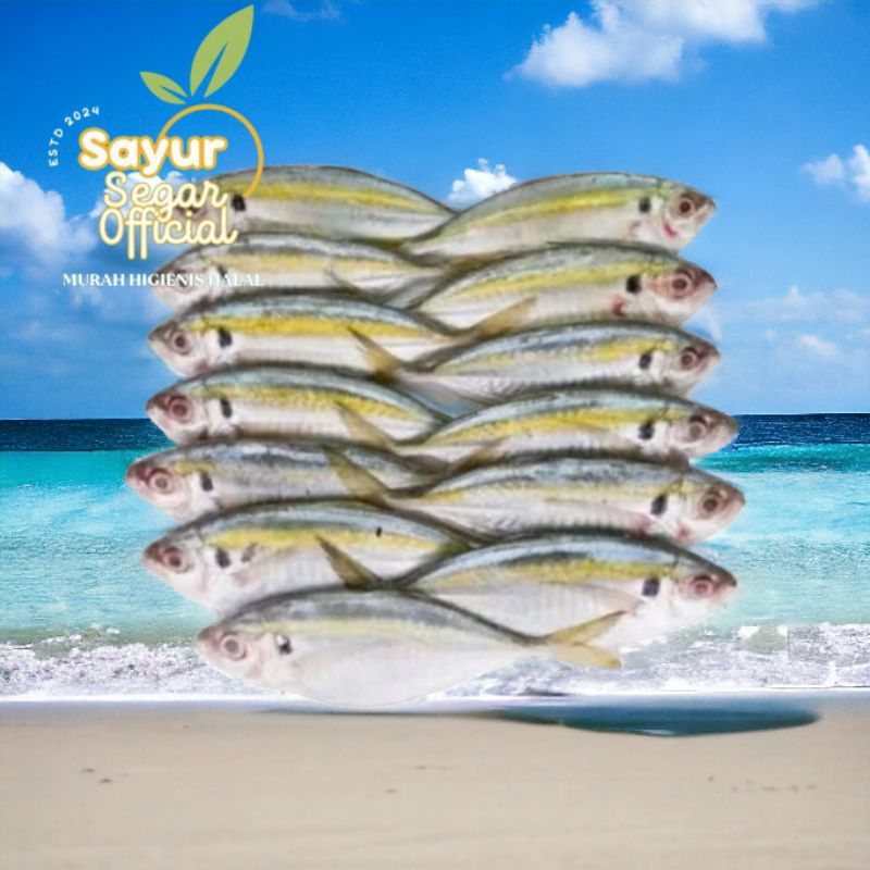 

Ikan Selar Segar 500gr - Kirim Instan
