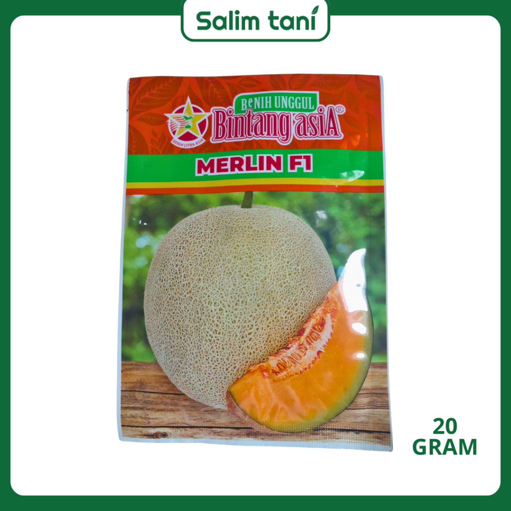 Benih Melon MERLIN F1 Bibit Bintang Asia 20 Gram