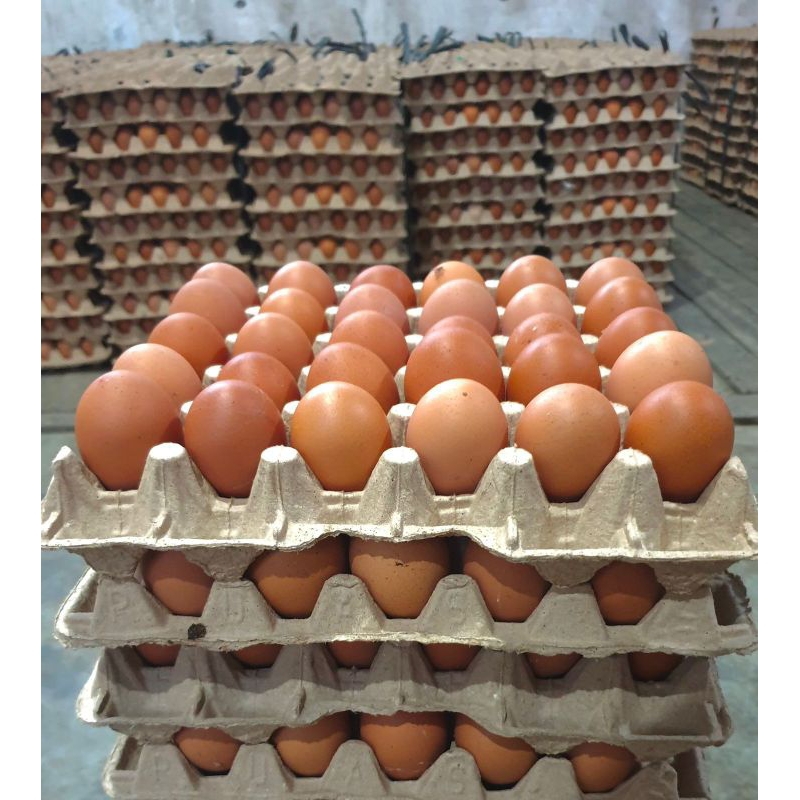 

TELUR AYAM FRESH BESAR mix JUMBO Grade A berat 2,0 kg-2,21kg (30 butir)