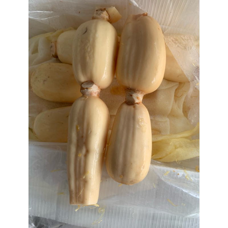 

Lotus Root / Akar Teratai China