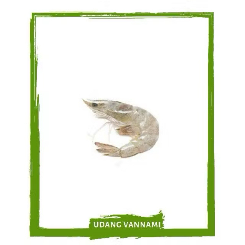 

Udang Vaname / Ikan Segar By Sayur Mallah