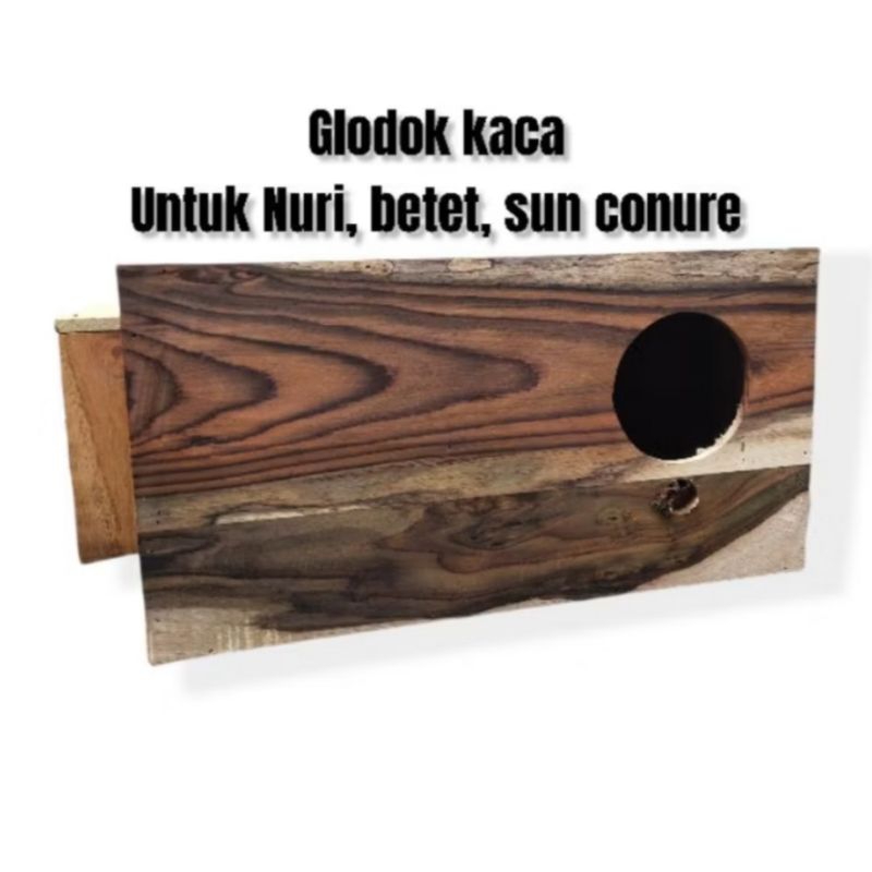 Glodok falk Sunconure Pintu Kaca || Glodok Falk Nuri Pintu Pantau Kaca