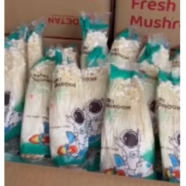 

Jamur Enoki Detan Jual Per 1 Dus Karton