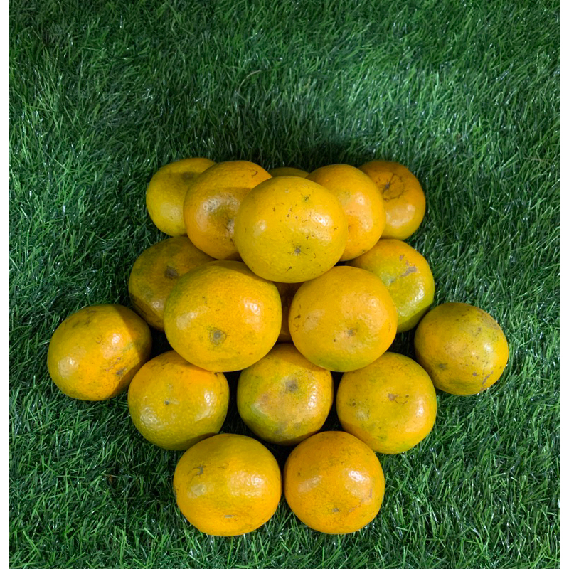 

Jeruk Medan Manis & Fresh 500gr