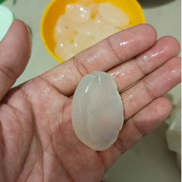 

Kolang-kaling Matang Premium CANDU REMPAH, 1 kg include bag