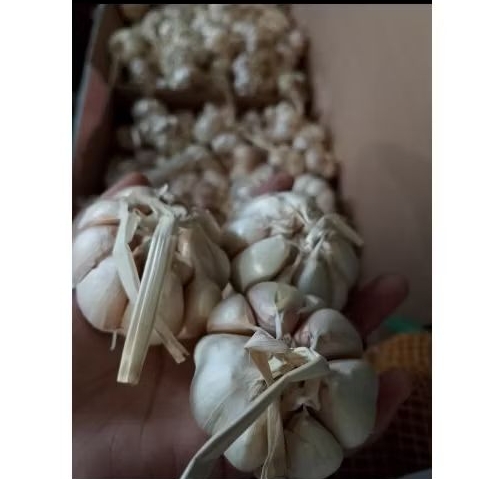 

Bawang putih bersih 500 dan 1kg