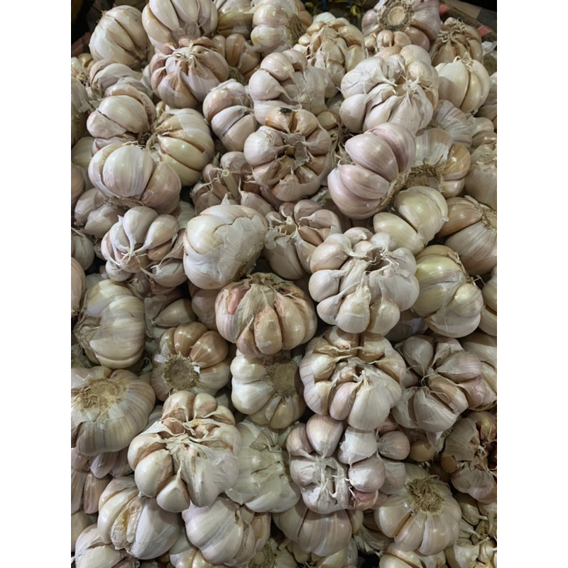 

bawang putih super 1kg